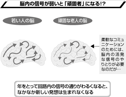 脳内の信号が弱いと「頑固者」になる!?