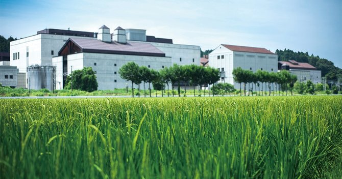 蔵の前に広がる田んぼ、7月