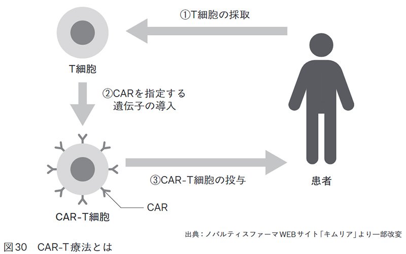 図30 CAR-T療法とは