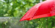 【神様は見ている】〇〇な傘は絶対NG！ 金運を逃さないために気をつけたい“雨の日のルール”とは