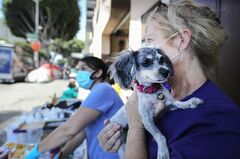 愛犬が新型コロナに感染、飼い主にうつるリスクは？