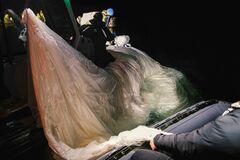 米、対中技術輸出さらに制限へ　気球問題で