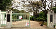 首都圏「中高一貫校」倍率が緩和しそうな穴場校はどこだ?【2021年入試版】