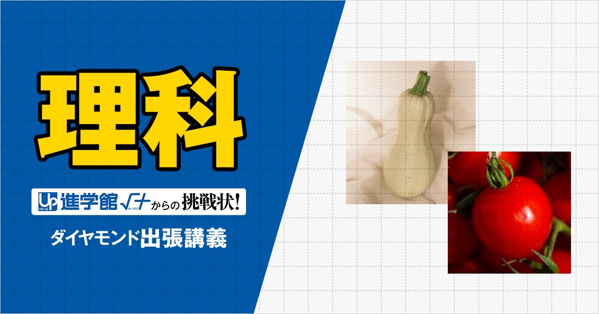 【中学受験の良問・理科】「サツマイモ、ユウガオ、ジャガイモ、トマトはそれぞれ何科？」…聖光学院や慶應で類題！意外と知らない「植物分類」の問題