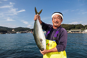 米国で脂のノリが大人気！日本で養殖する“あの魚”とは？