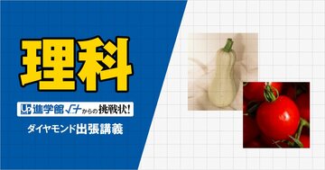 【中学受験の良問・理科】「サツマイモ、ユウガオ、ジャガイモ、トマトはそれぞれ何科?」…聖光学院や慶應で類題!意外と知らない「植物分類」の問題