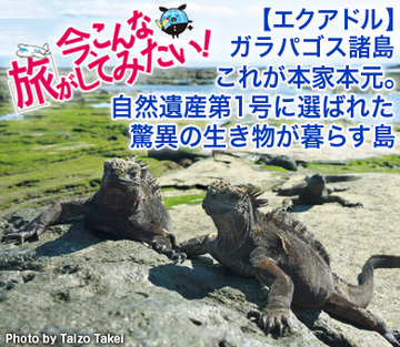 【エクアドル】ガラパゴス諸島これが本家本元。自然遺産第1号に選ばれた、驚異の生き物が暮らす島