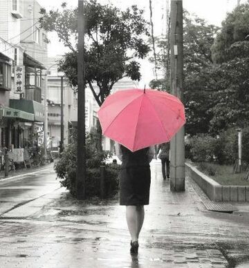 対称形が当たり前だった“傘”の形が変わる？「常識を覆す小さな発明」は目の付けどころから