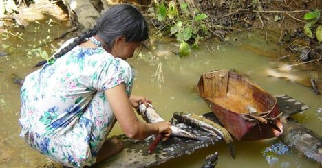 認知症が世界で最も少ない集団とは？アルツハイマー予防に新見解