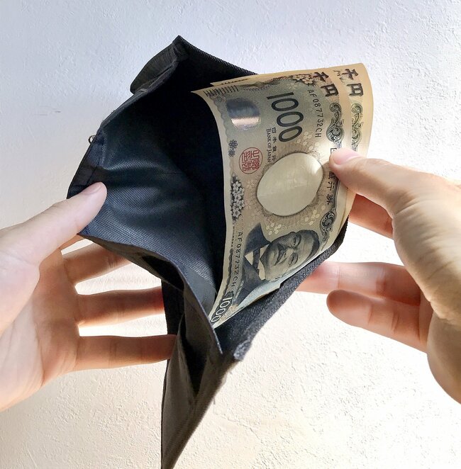 カードや診察券が28枚も入った…！セリアで見つけた「ぺたんこ財布」ガバッと開いて使いやすい！《購入レビュー》