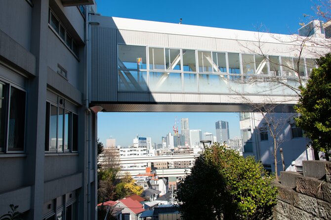 多彩な進学先を確保する「横浜女学院」の高大連携戦略