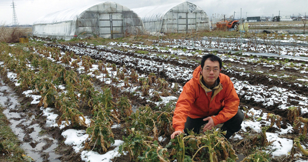 イチ地方野菜「水菜」が全国区になった仕掛け