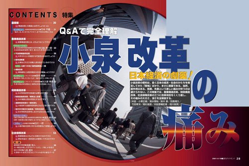 2001年6月16日号「Q&Aで完全理解 小泉改革の痛み」