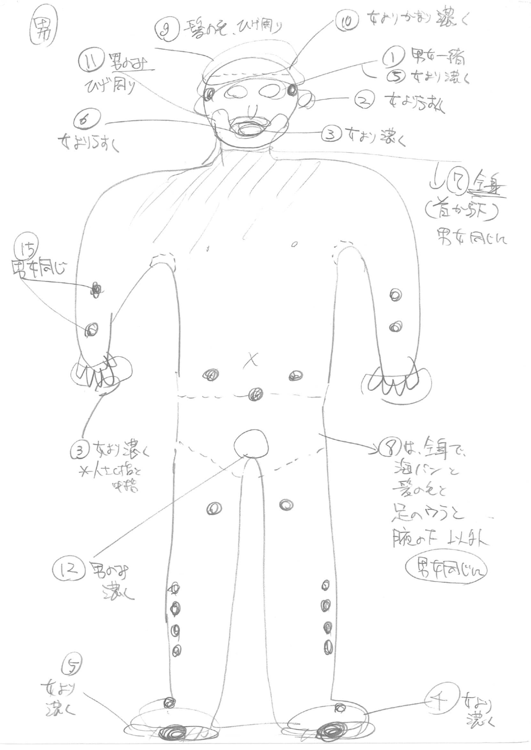 身体の部位と企業の関わり を男女別にして構造的なオチを作ったインフォグラフィック 分類王 石黒謙吾の 発想を広げるインフォグラフィック思考 ダイヤモンド オンライン