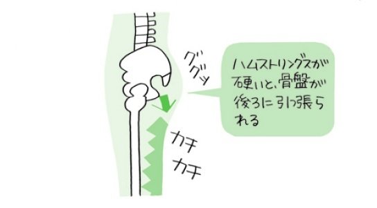 座り仕事で 骨盤がずれ 疲れやすい体になる メカニズムとは 座り仕事の疲れがぜんぶとれるコリほぐしストレッチ ダイヤモンド オンライン