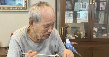 【新NISAにも役立つ】資産18億円を築いた87歳、現役トレーダーの「全部見せます! ある日の取引」