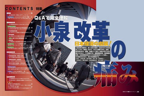 2001年6月16日号「Q&Aで完全理解　小泉改革の痛み」