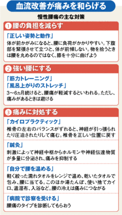 ［腰痛］腰を守り、鍛えようカイロ治療も選択肢