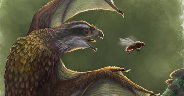 「たった1文字」の新種の恐竜、研究者の理解を超えた前代未聞の「変な特徴」とは?