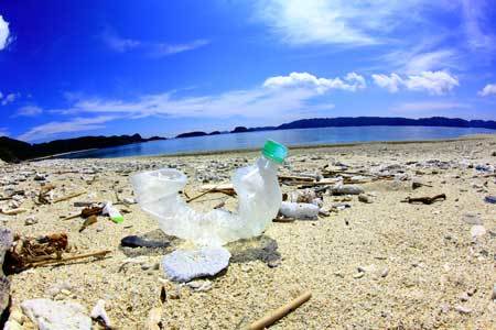 海辺でペットボトルを捨てるなど、日本人観光客のマナーの悪さも昔から問題になっています