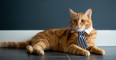 「まったく仕事ができない人」に共通する、たった1つの特徴