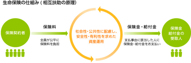 絶対に契約してはいけない保険、見返りが少ないプランの見極め方