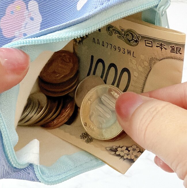 【セリア】カードが50枚も入って天才…！サンリオの“レトロかわいいポーチ”ガバッと開いて使いやすい！「わー！これは可愛すぎます」「待ってました」《購入レビュー》
