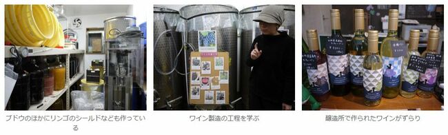 【練馬】大根だけじゃない！味噌蔵もワイナリーもある23区の隠し玉、その秘めたる魅力