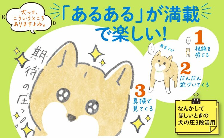 キリ　犬のかわいいところ大全 小さな柴犬こつぶの2000日観察記録 告知情報
