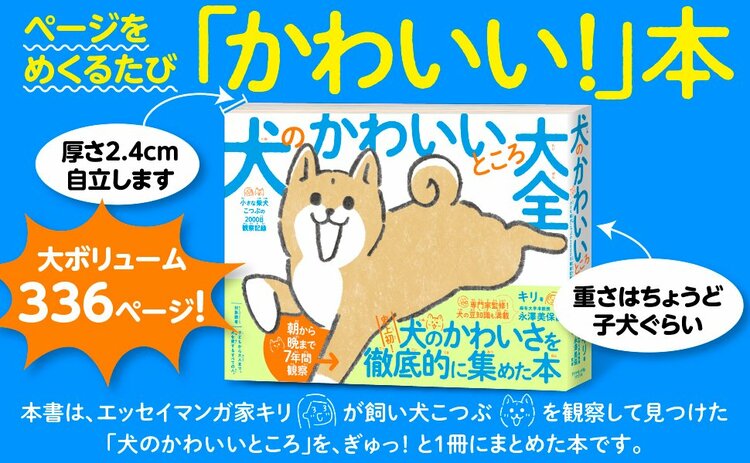 キリ　犬のかわいいところ大全 小さな柴犬こつぶの2000日観察記録 告知情報