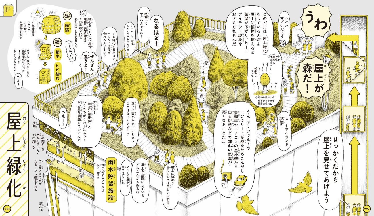 屋上緑化の図解