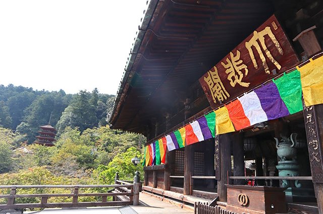 爽やかな風が吹き抜ける長谷寺の本堂
