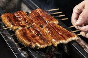 【土用の丑の日】そりゃウマいはずだ…鰻の成瀬、宇奈とと、吉野家の「うなぎの品種」を大公開！最もコスパがいい店は？