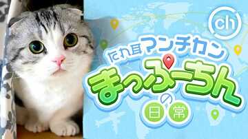 至近距離で圧倒的な癒しをお届け！ 360Channel「アニマルカテゴリー」