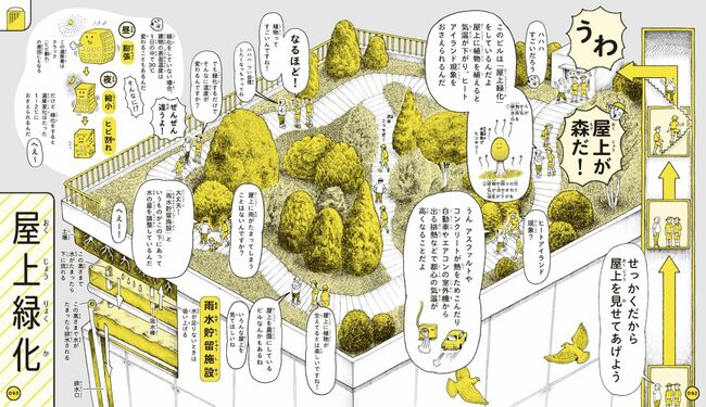 屋上緑化の図解