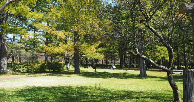 【意外な結果】各都道府県に占める「自然公園の面積比率」が最も高いのは？