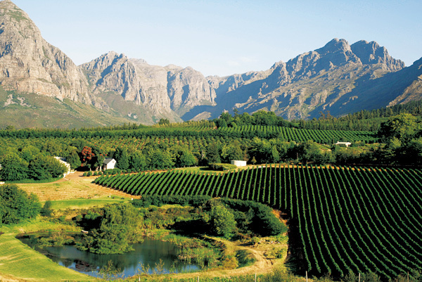 【南アフリカ】 <br />大陸の果ての<br />とびきりおいしいワイン・ランド