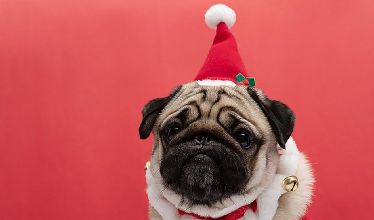 さみしいクリスマスにこそ味わえる、あの「クリスマスソング」の本当の意味