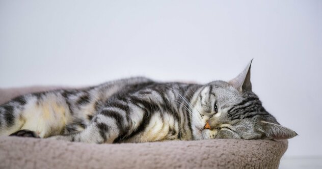 メンバーのやる気がまったく出ない！ 上司がやりがちな残念な行動