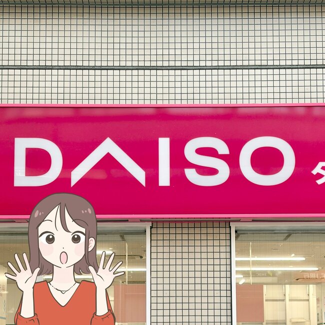 家族の診察券が90枚入った…！ダイソーの「仕分けできるポーチ」ごちゃごちゃ小物をスッキリまとめられて天才！