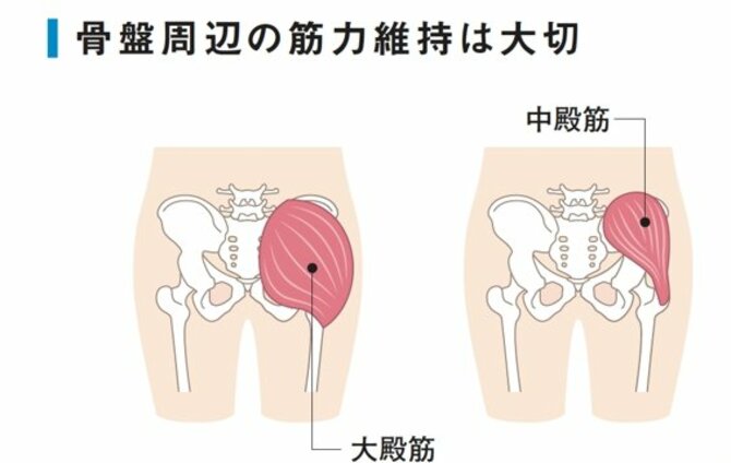 【整体プロが指南】腰痛が出やすい人の「2つの特徴」とは？ 早めに鍛えておきたい場所