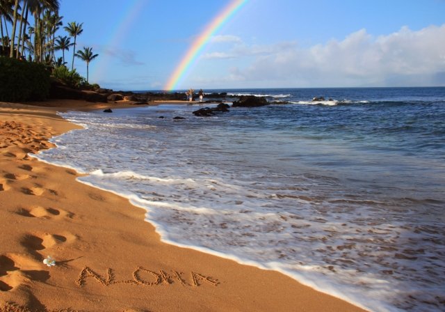 日本人の美徳の意識にも通じるところがある“ALOHA”