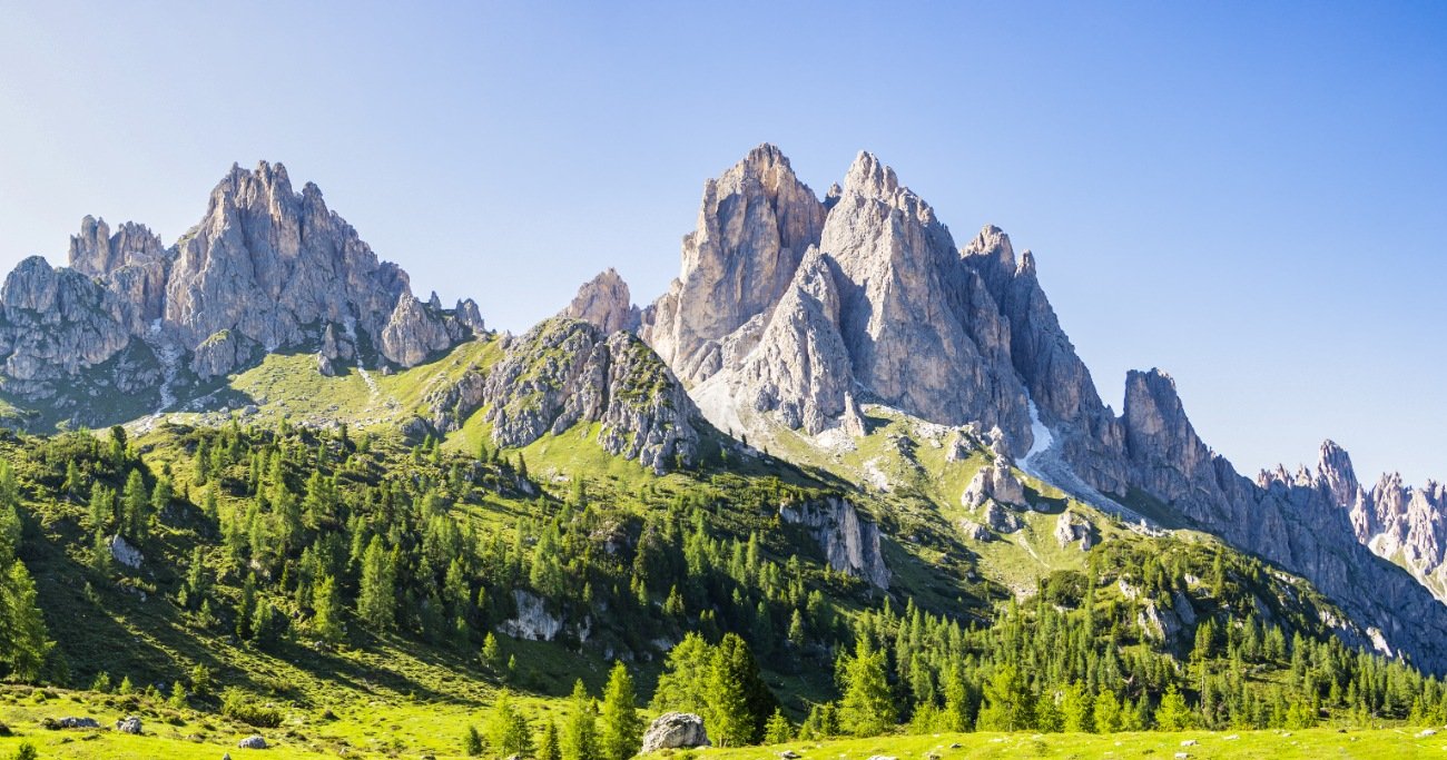 Photo: Adobe Stock
