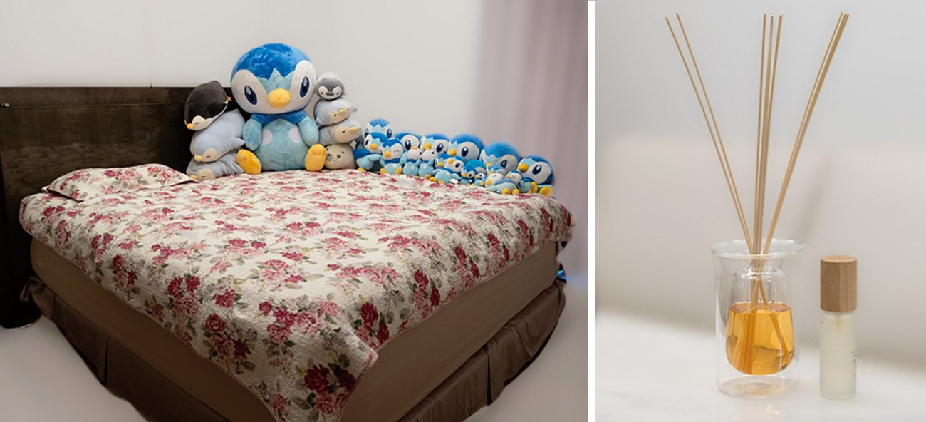 米国株投資で資産6億円!!東大ぱふぇっとさんの自宅を初公開