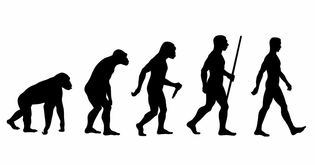 ダーウィンとドーキンスが語る<br />「思いやり」の進化論