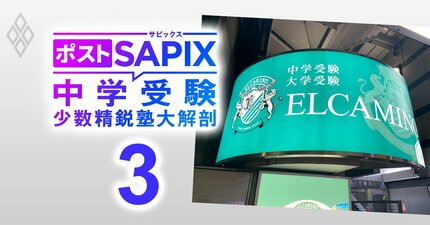 最難関中学の合格率は“SAPIX超え”の声も！ハイレベル算数教育で人気のエルカミノが育む「真の学力」とは？【対談前編】