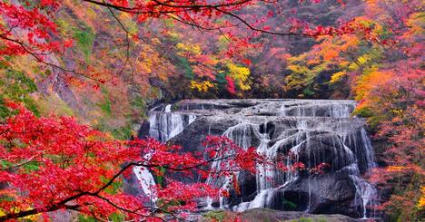 外国人観光客にまだバレてない？穴場の紅葉スポット6選【国内旅行におすすめ】