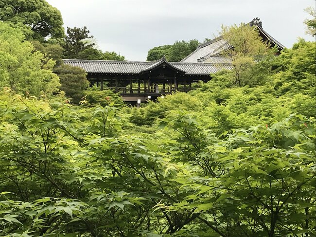 東福寺(東山区)の参道途中に架かる臥雲橋