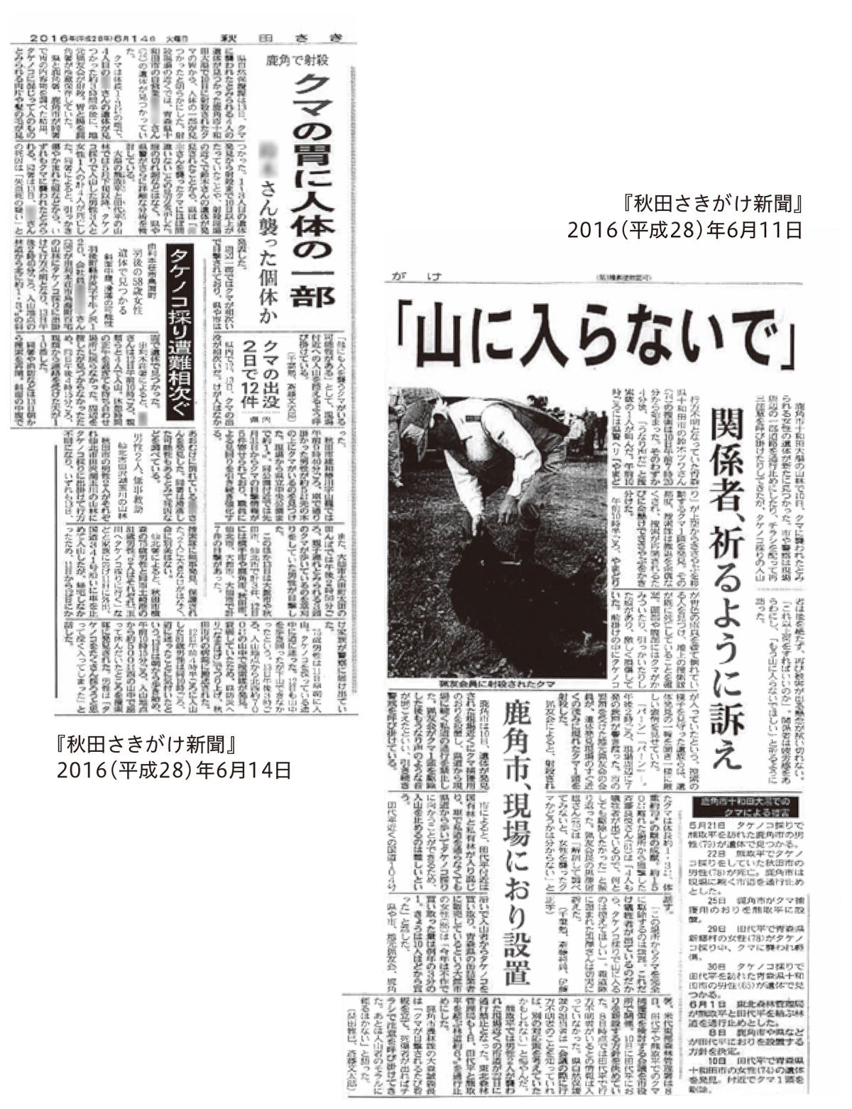 秋田さきがけ新聞 2016(平成28)年6月11日・14日