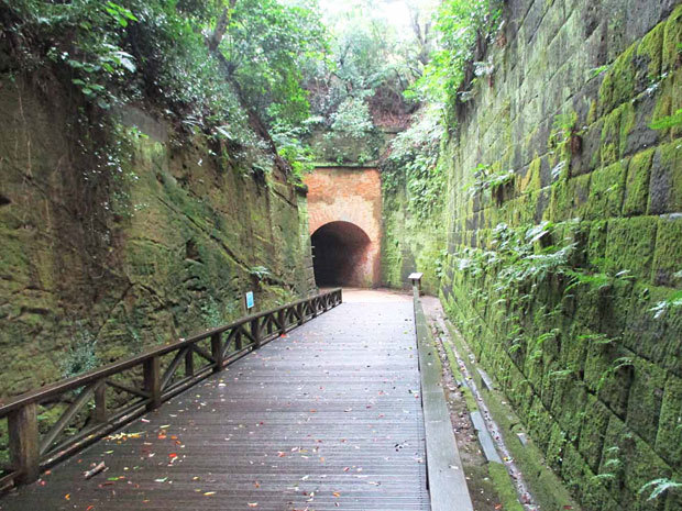 ロケ地でも人気 東京湾唯一の無人島「猿島」の魅力